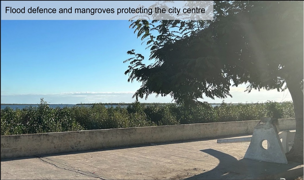 Flood defence and mangroves protecting the city centre